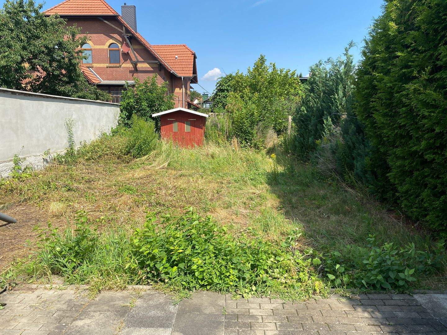 Bild 9
