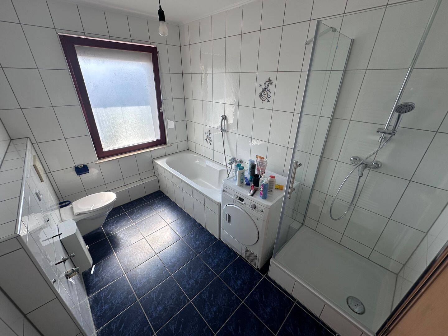 Bild 12