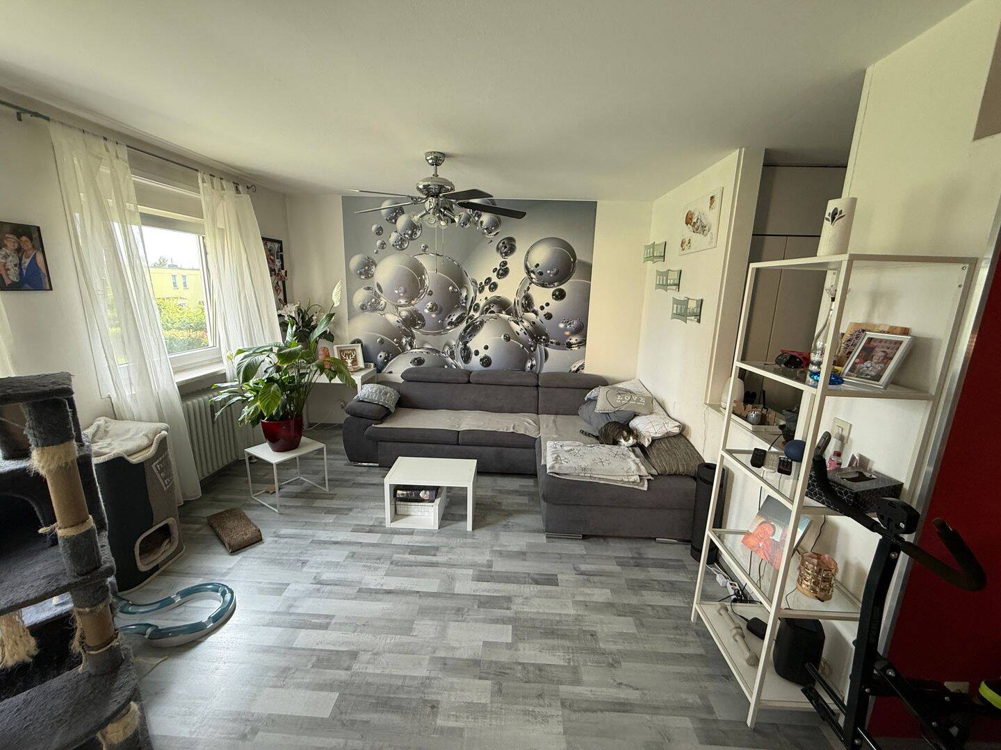Bild 7