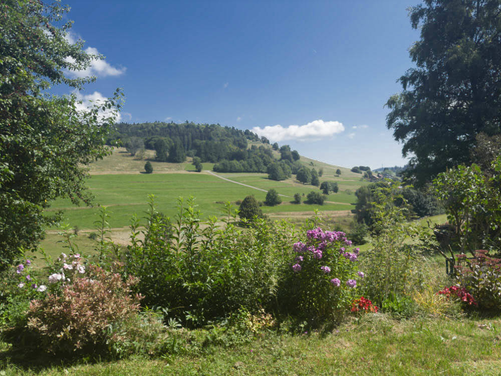 Bild 6