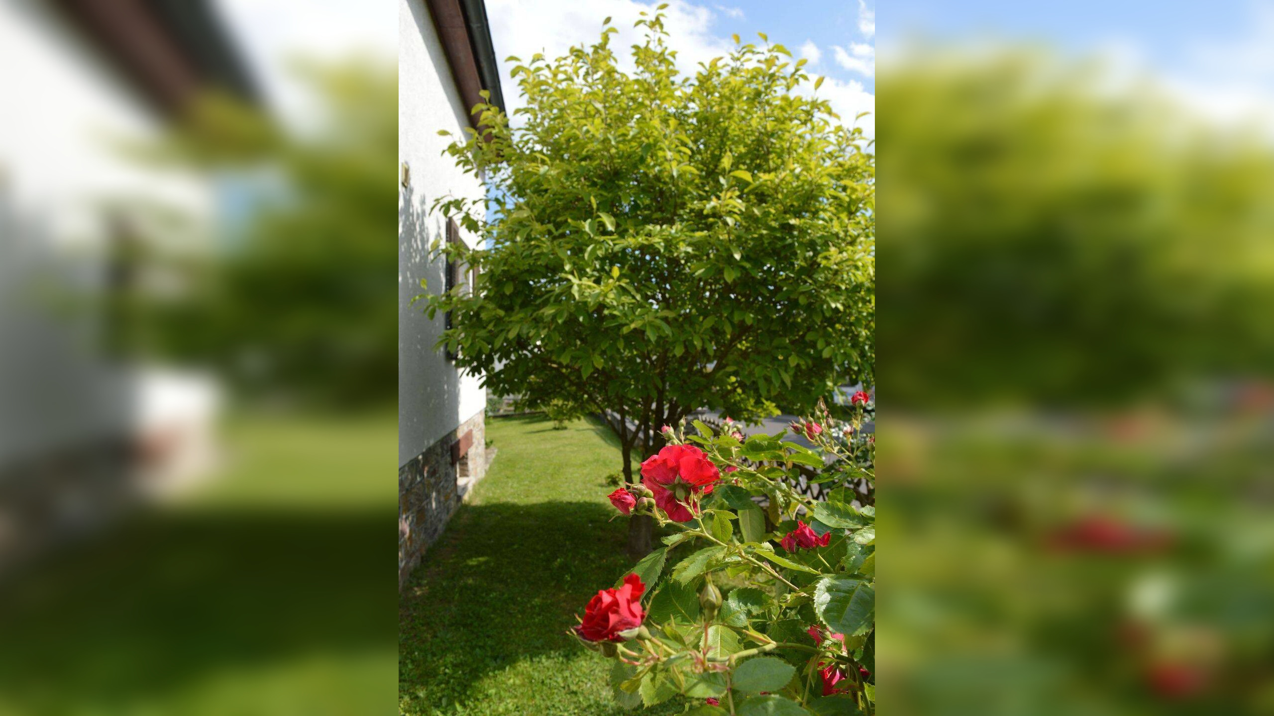 image-67165791