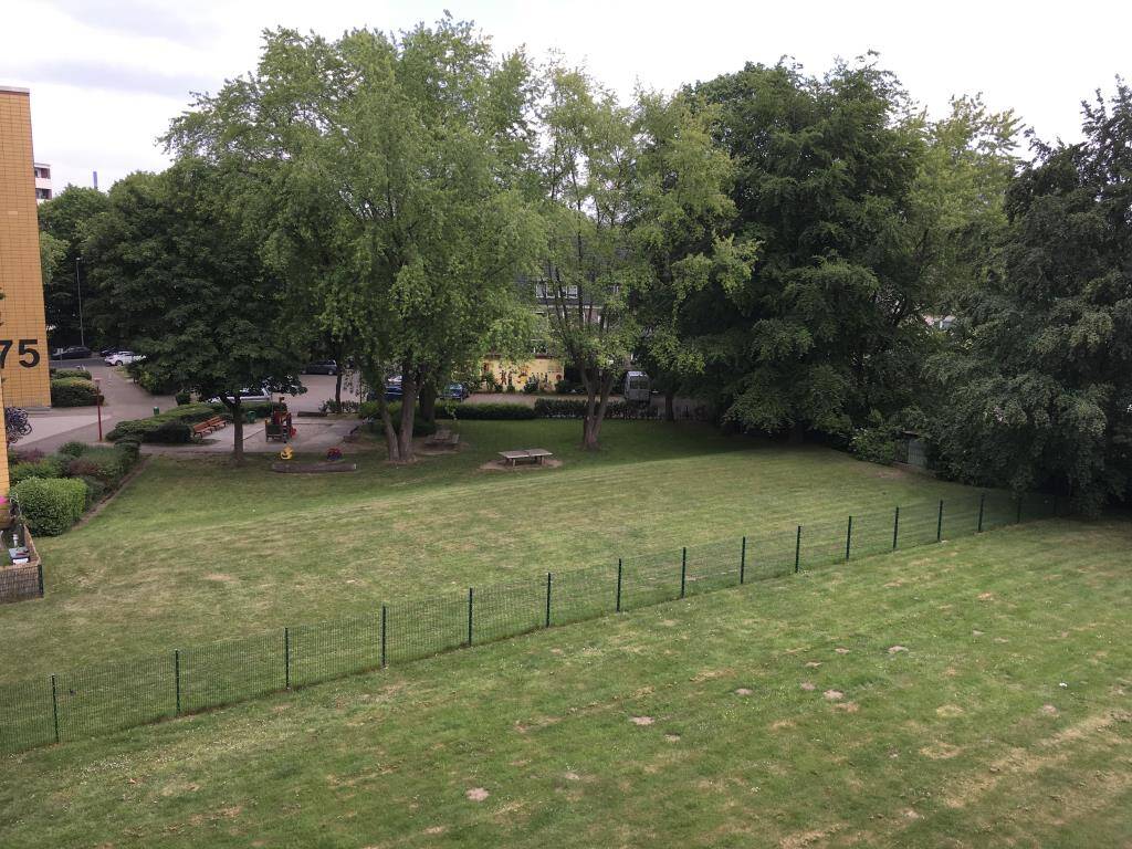Bild 7