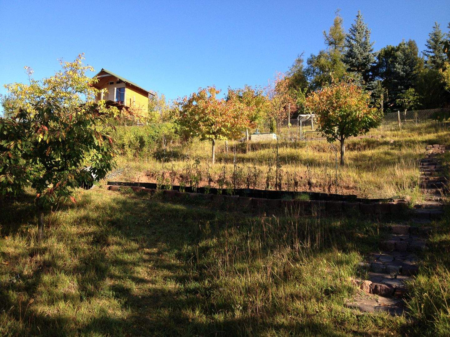 Bild 4
