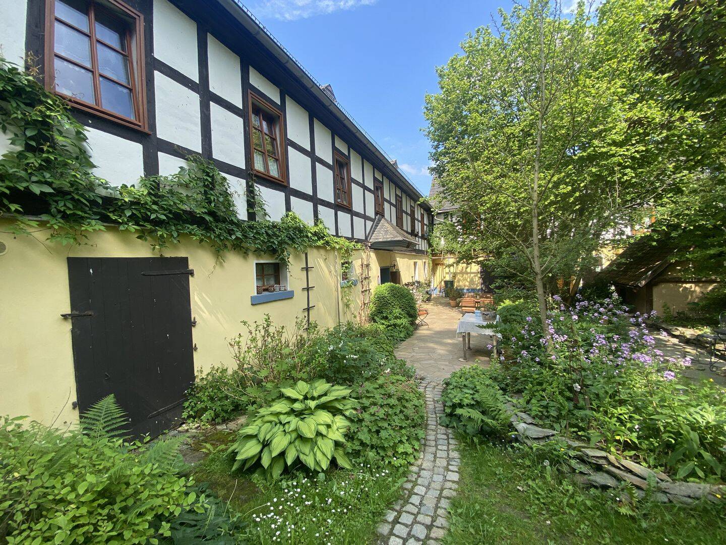 Bild 7
