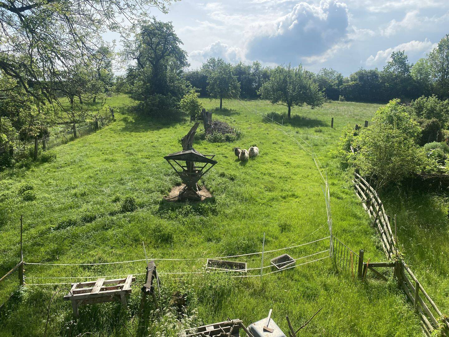 Bild 9