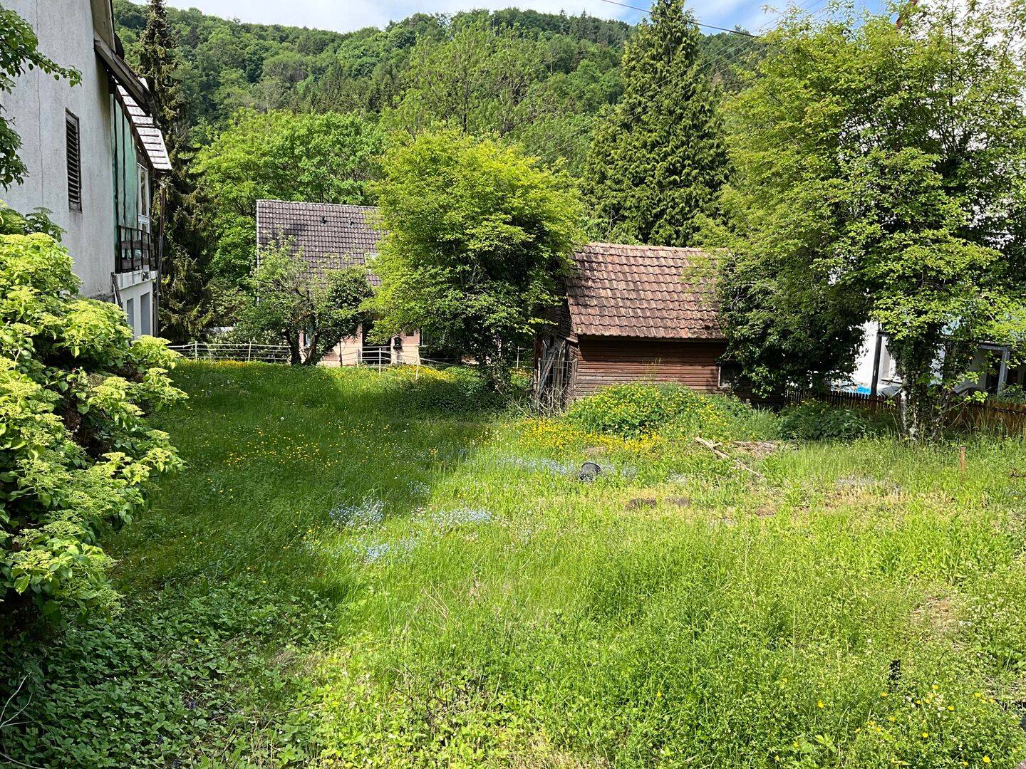 Bild 5
