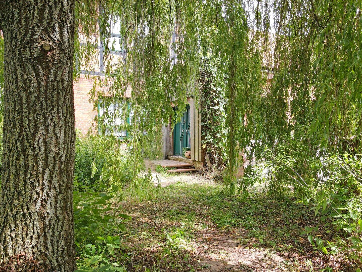 Bild 5
