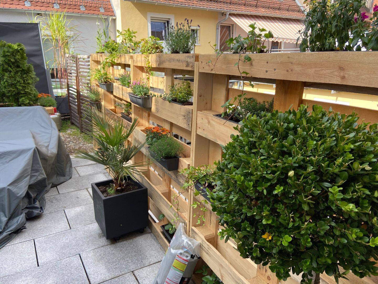 Bild 11
