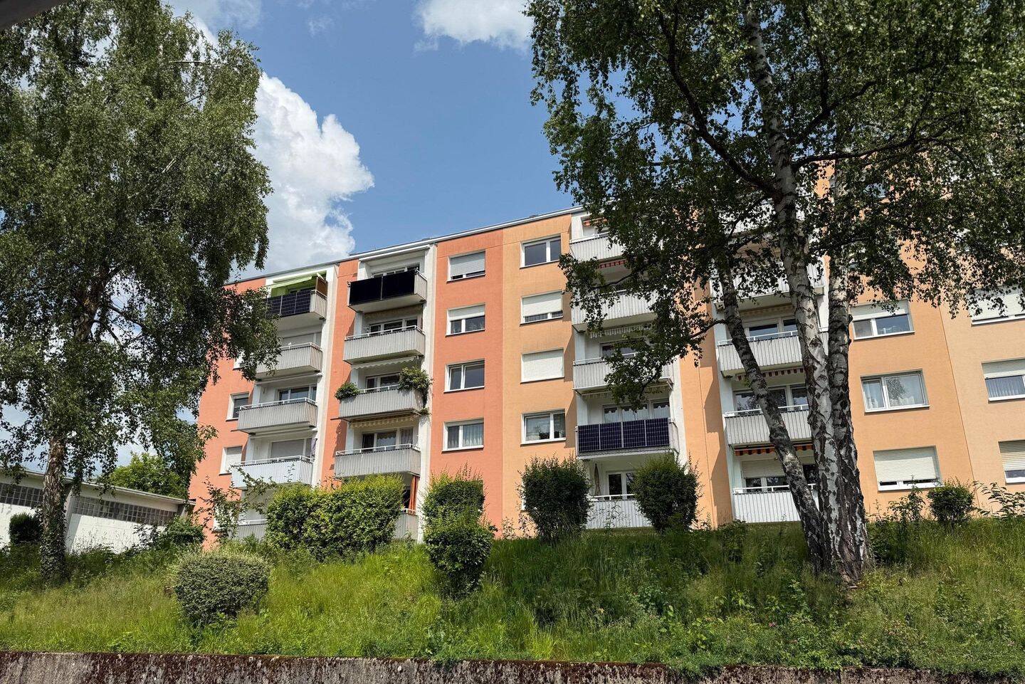 Bild 5