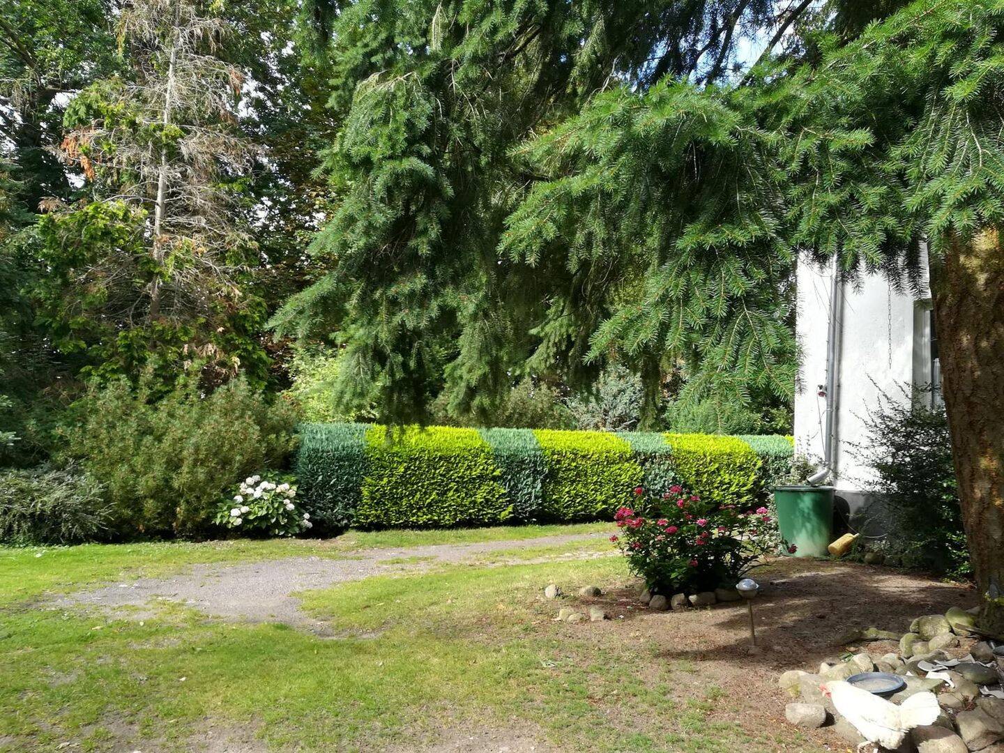 Bild 11