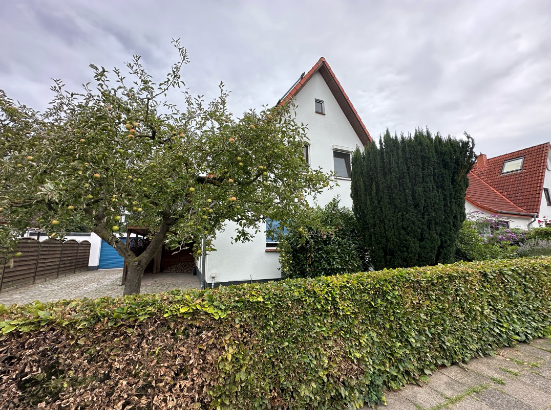 Bild 5
