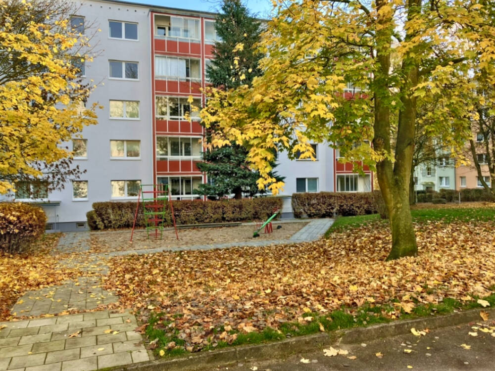 Bild 8