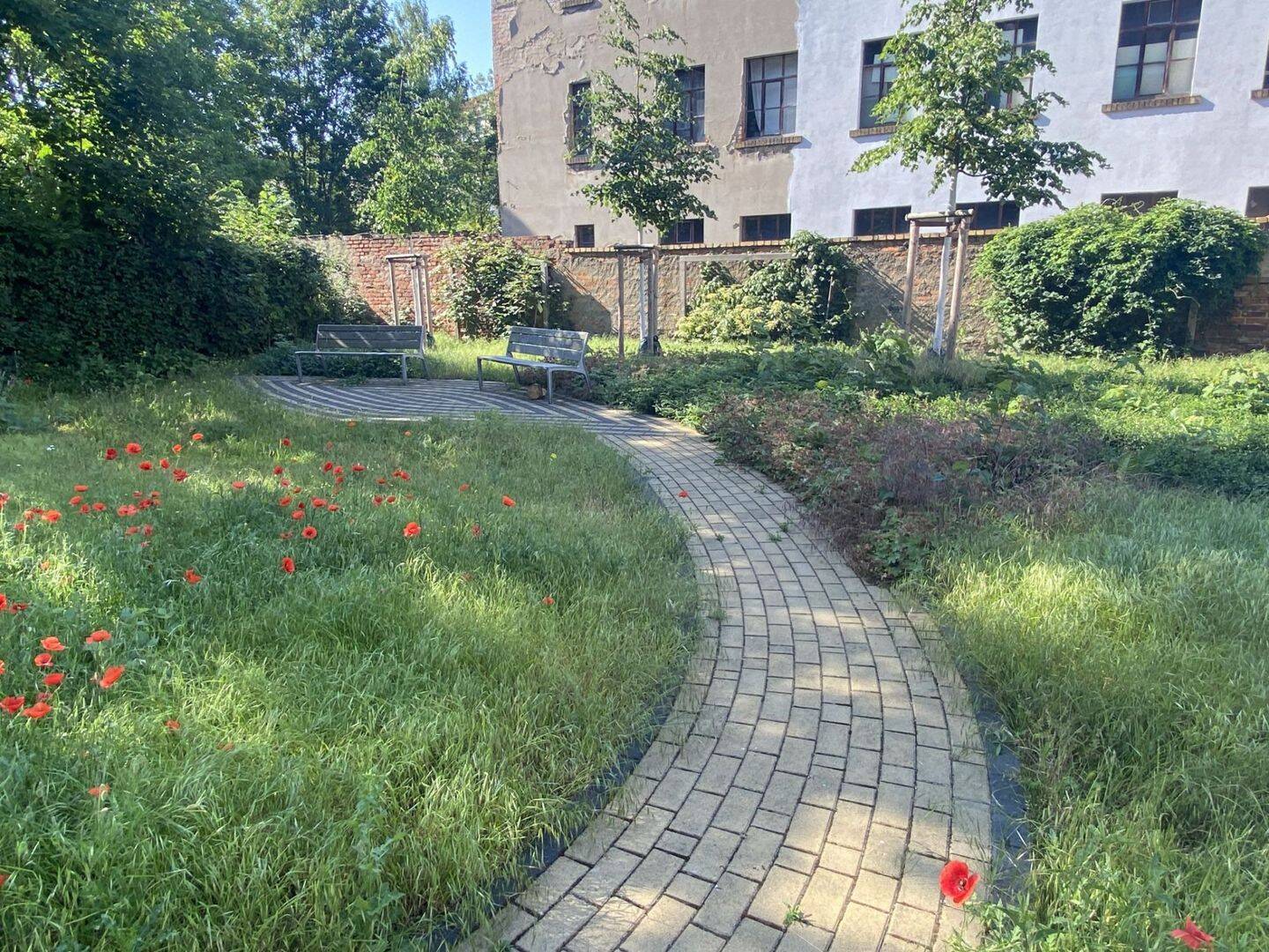 Bild 6