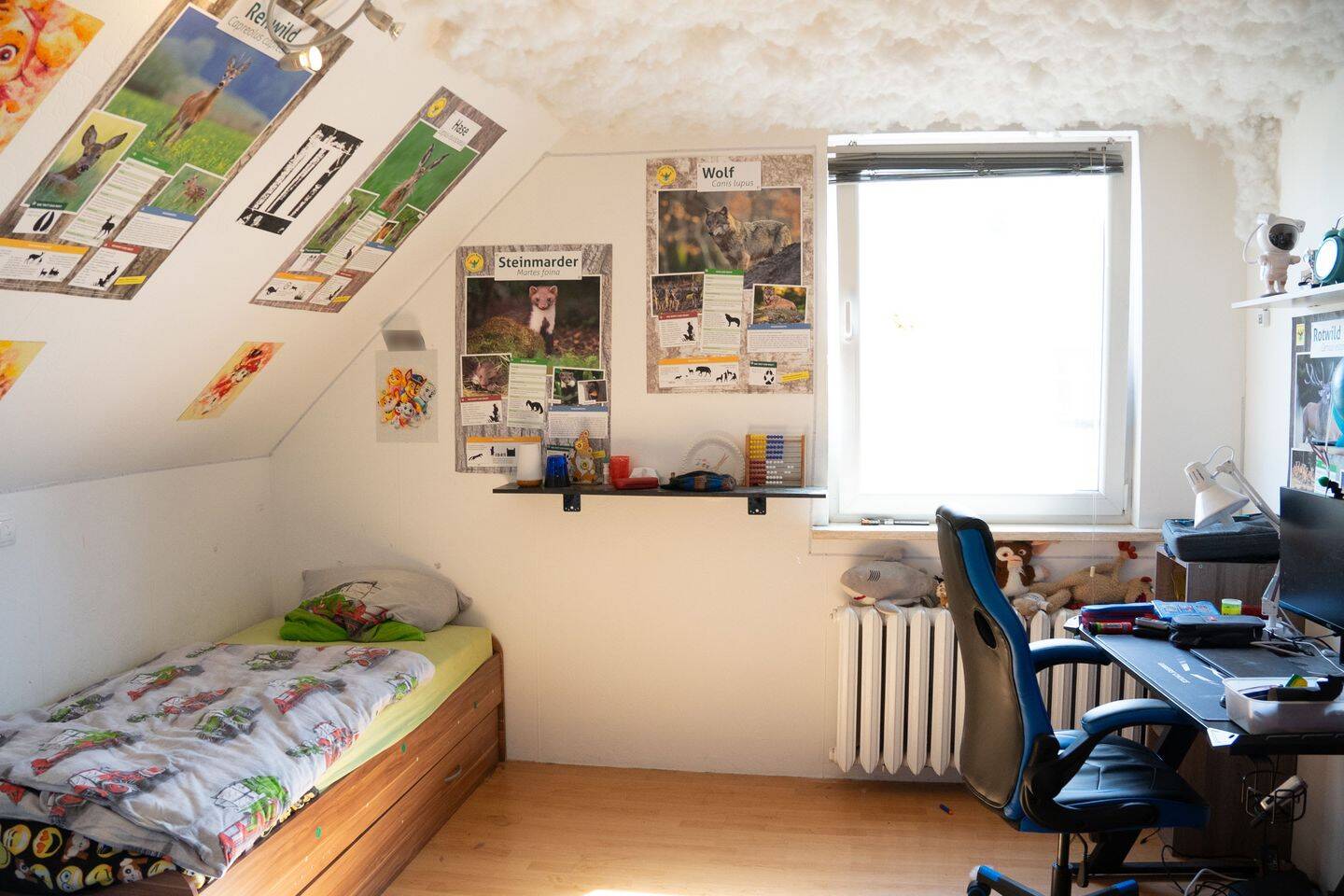 Bild 5