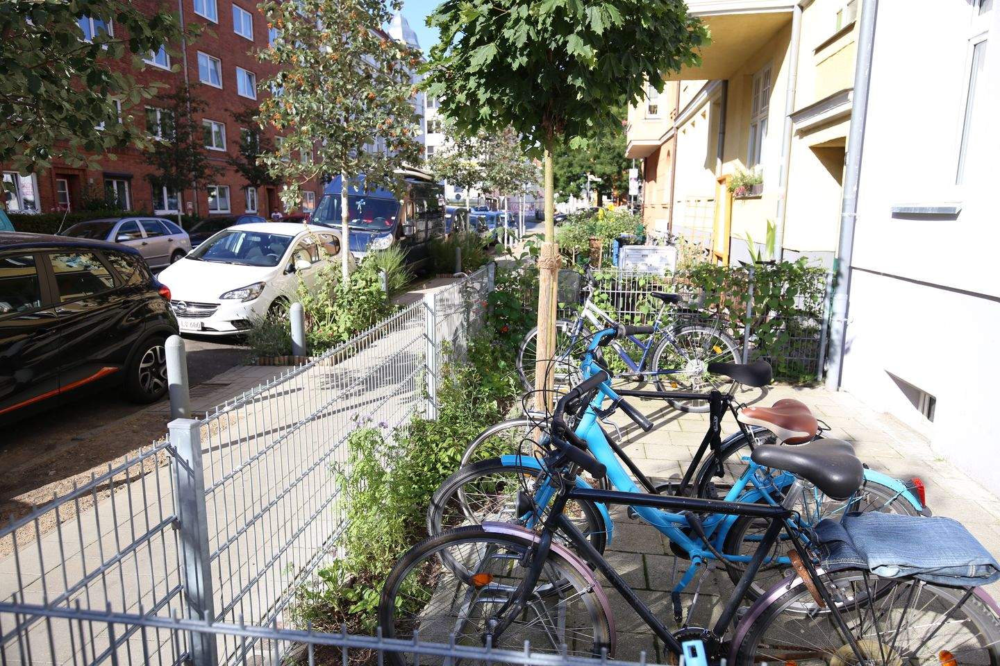 Bild 7