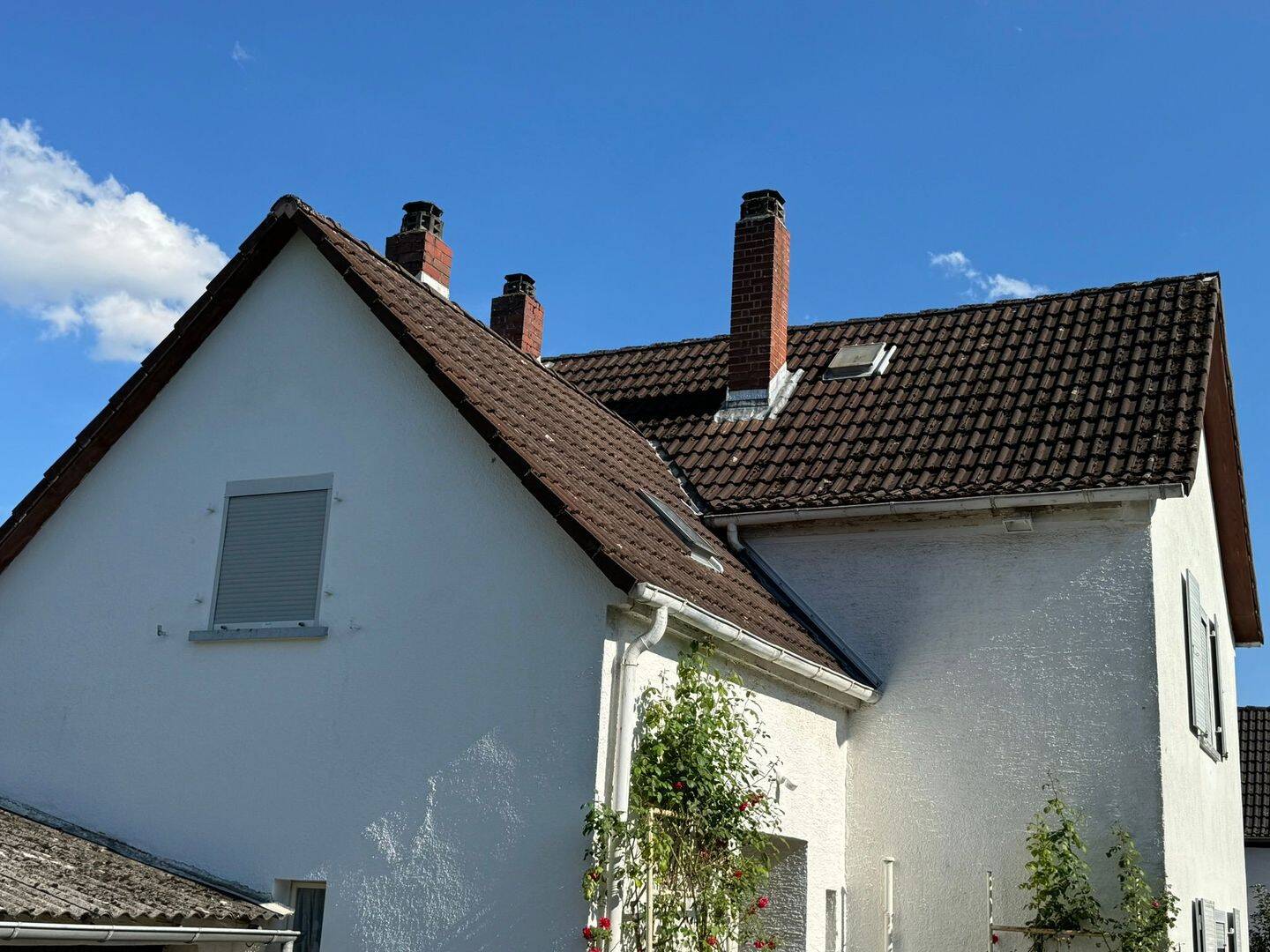 Bild 19