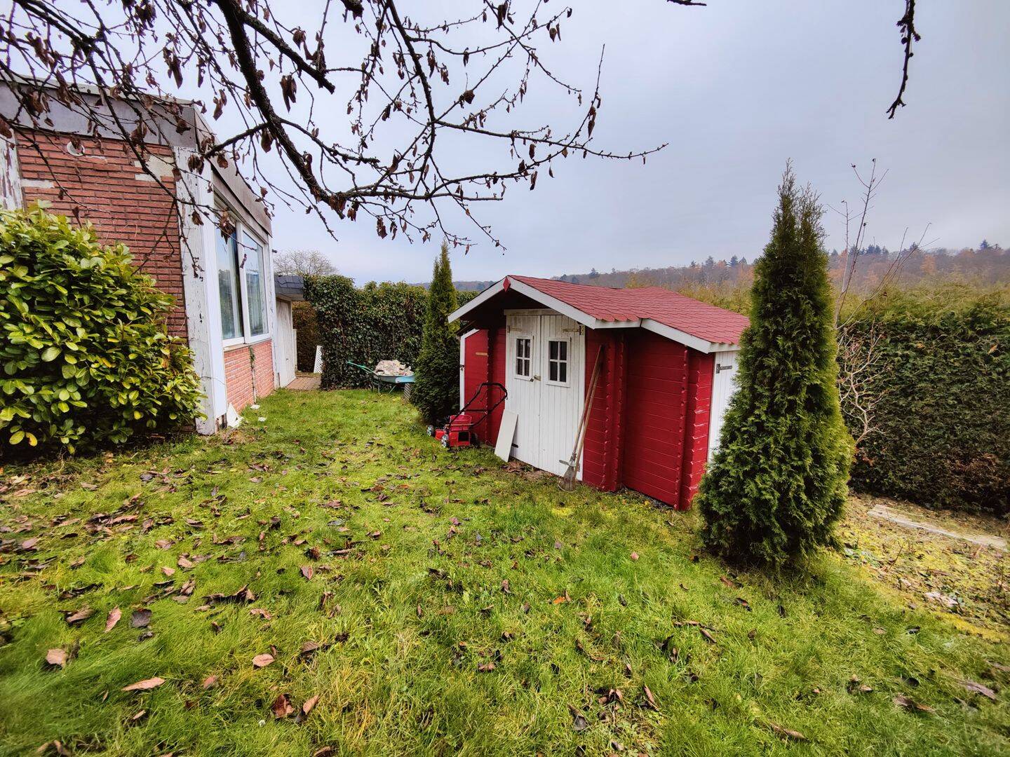 Bild 11