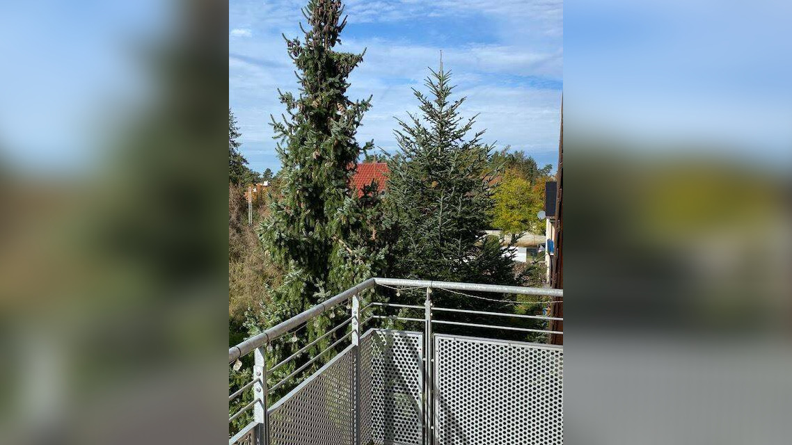 Bild 18