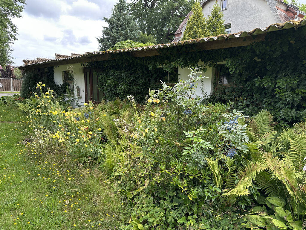 Bild 16