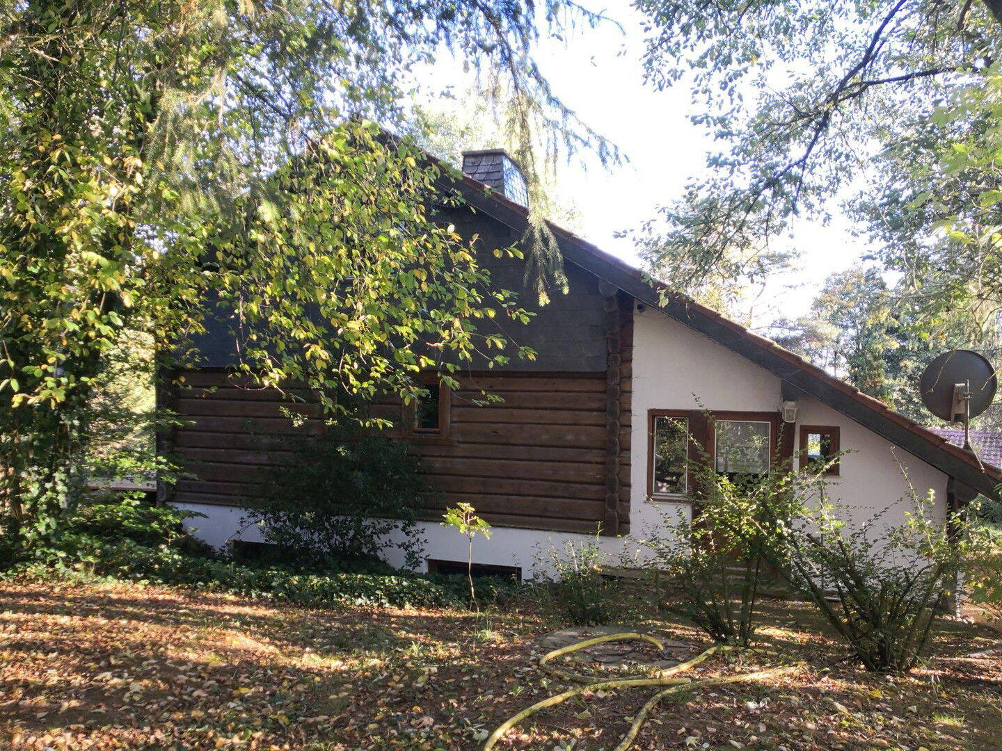 Bild 7