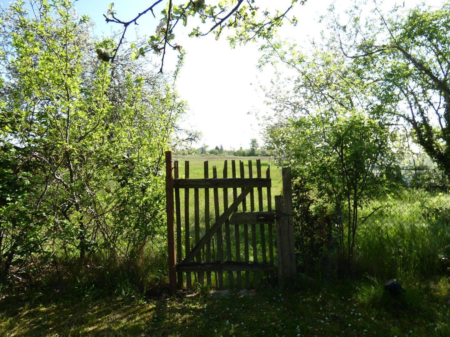 Bild 10
