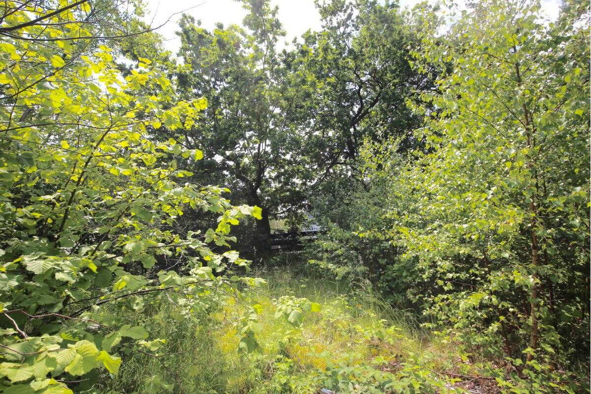 Bild 14