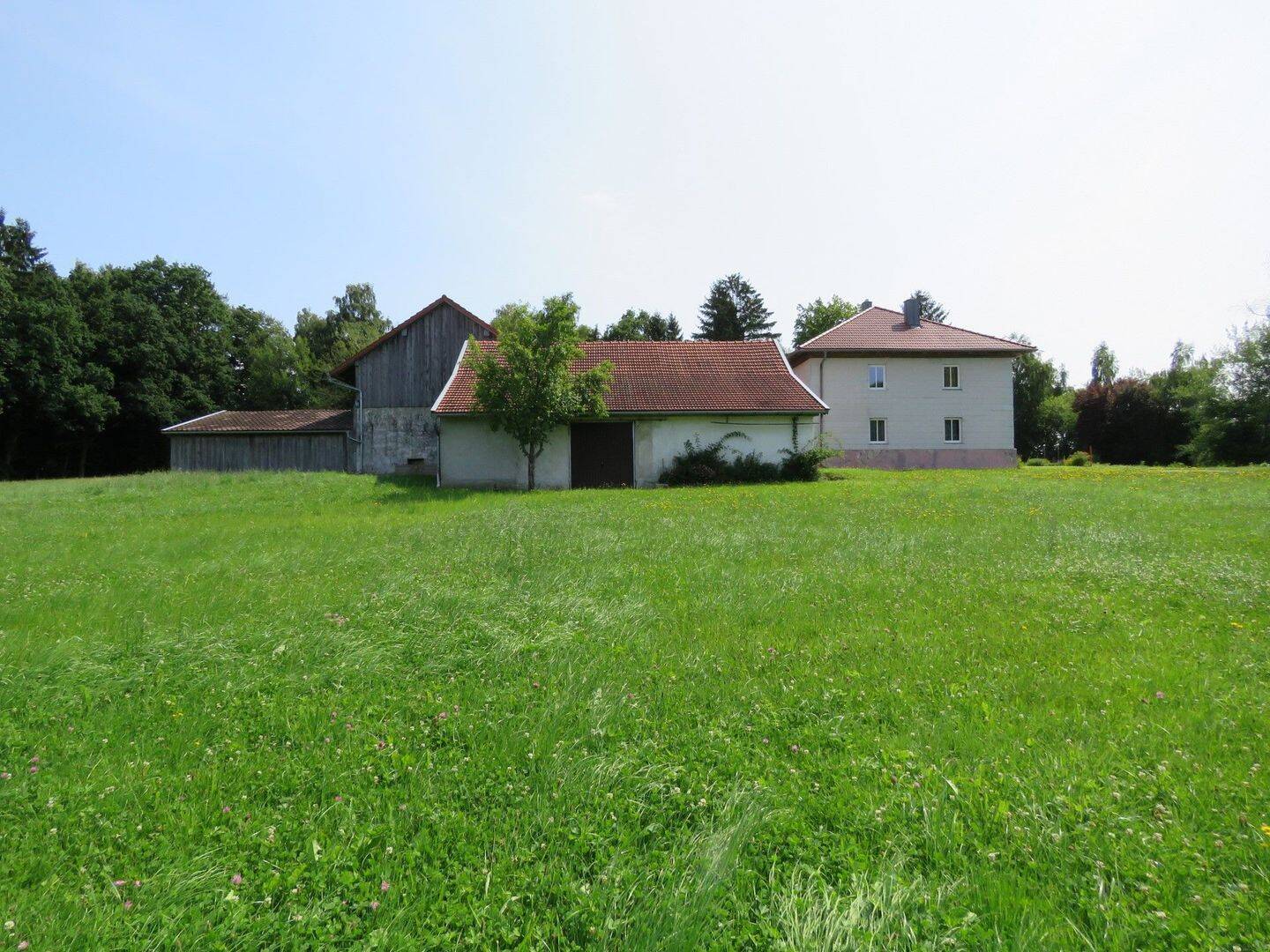 Bild 8