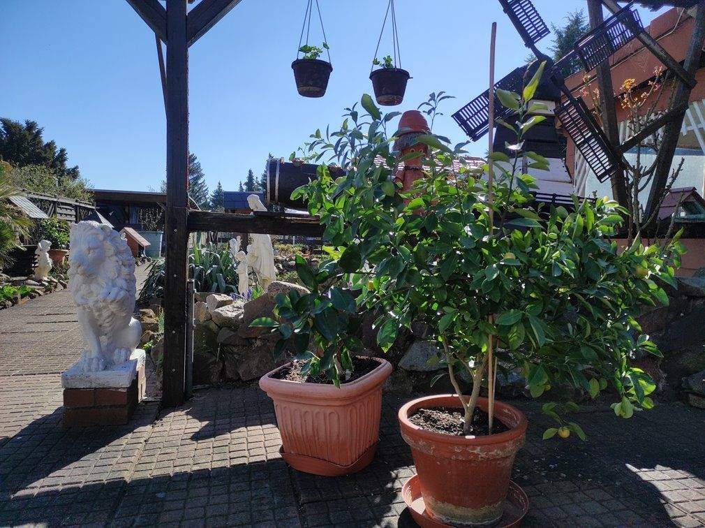 Bild 8