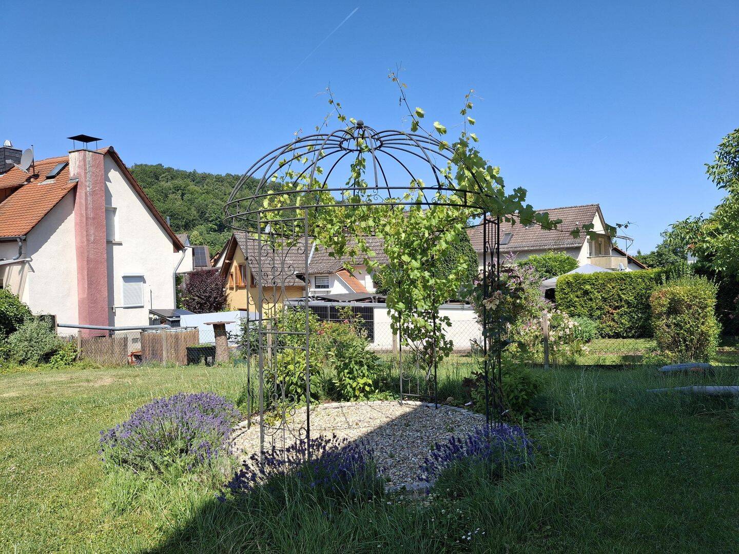 Bild 7