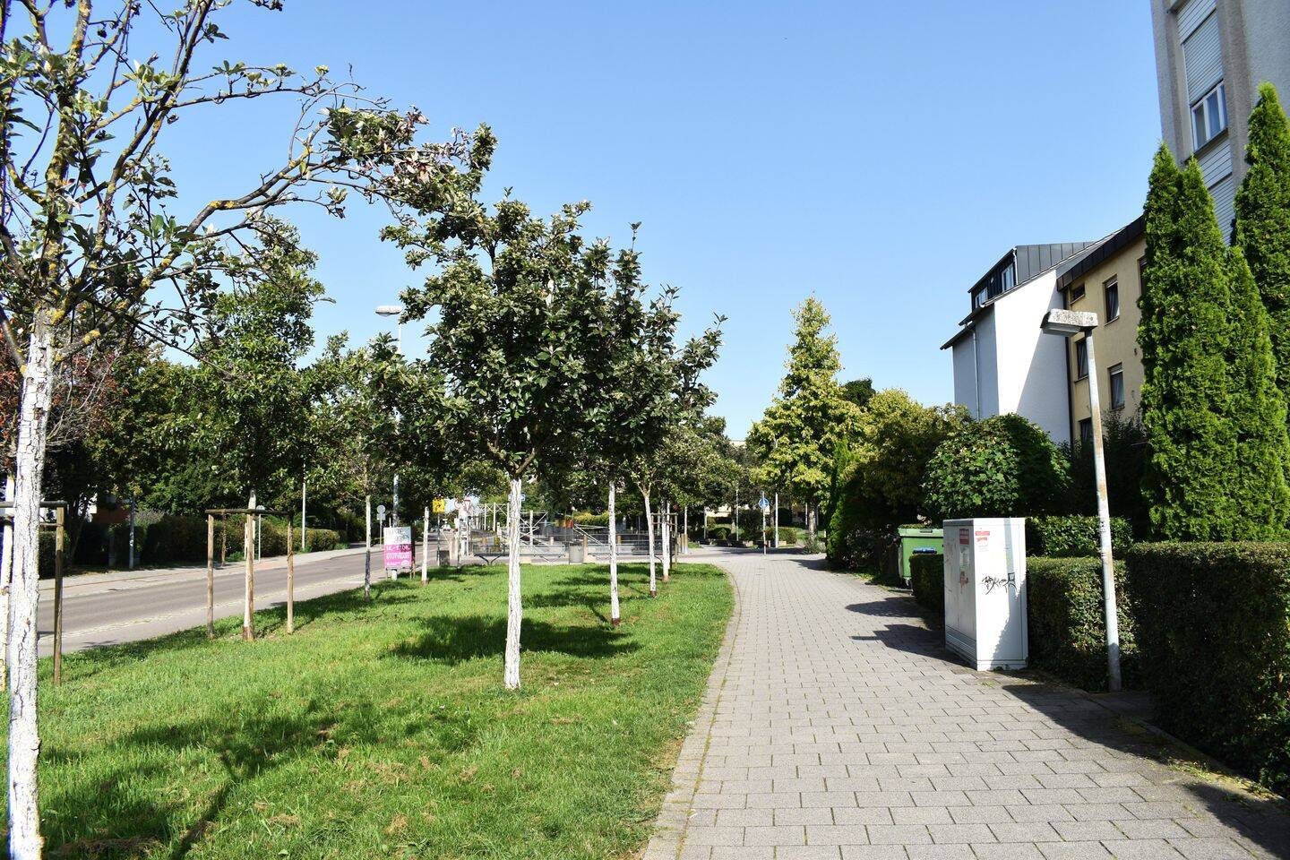 Bild 8