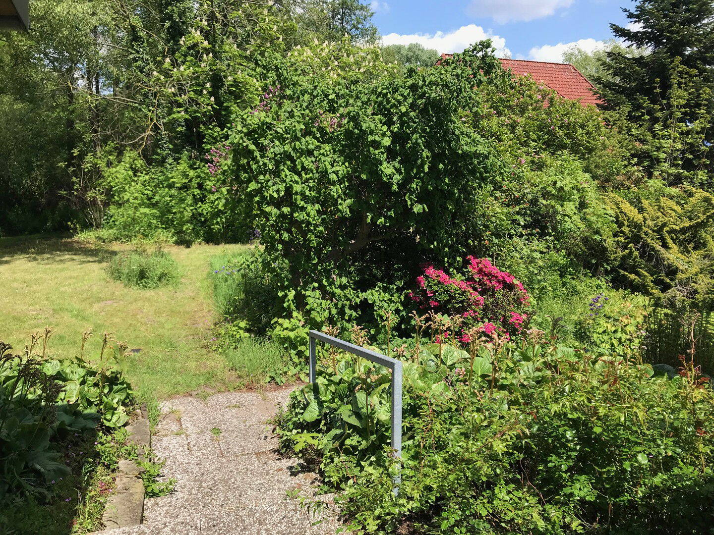Bild 11