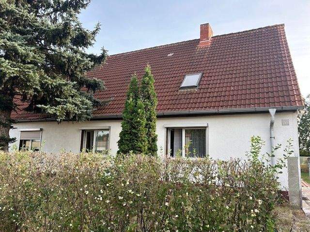Bild 7