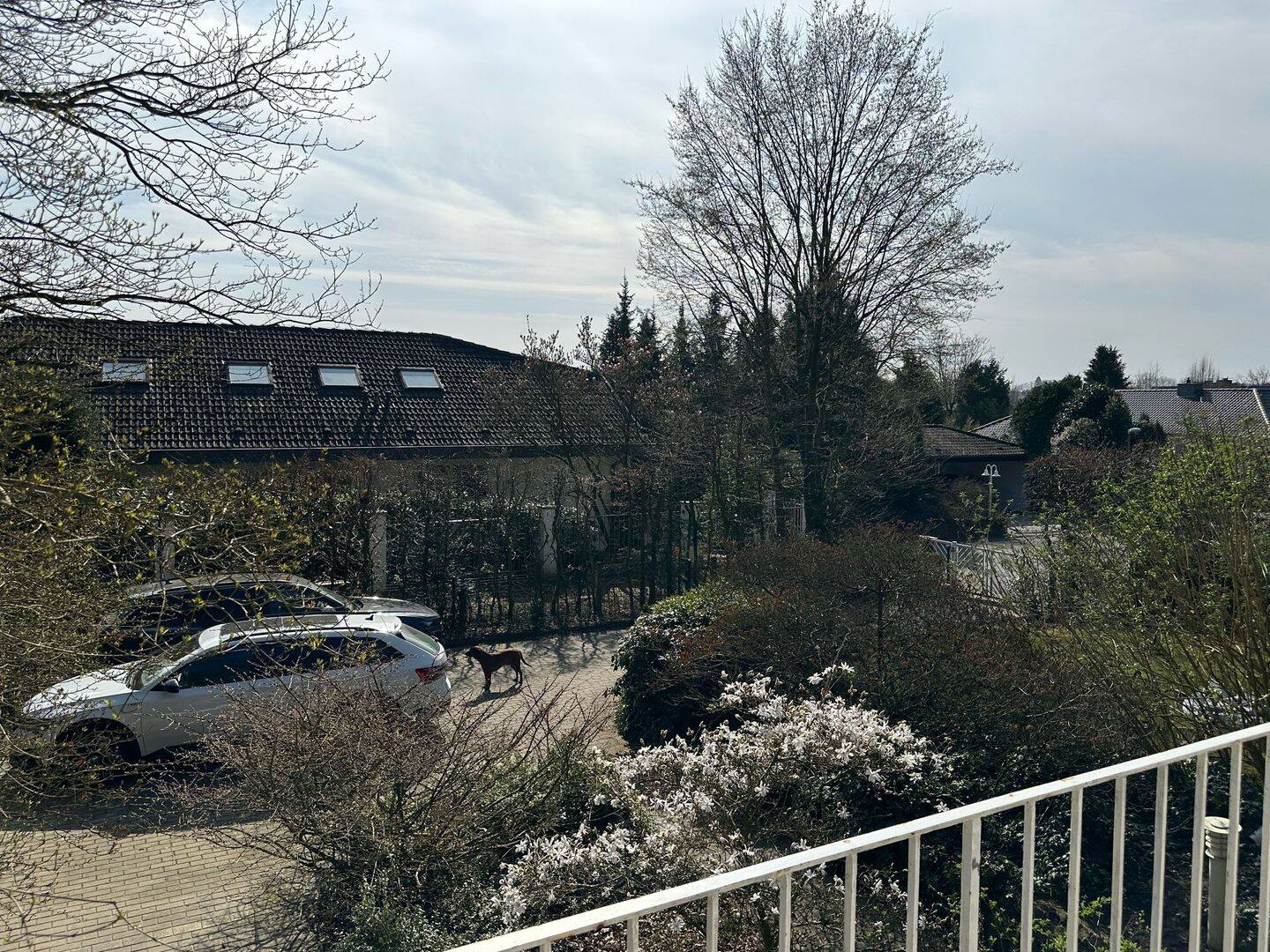 Bild 5