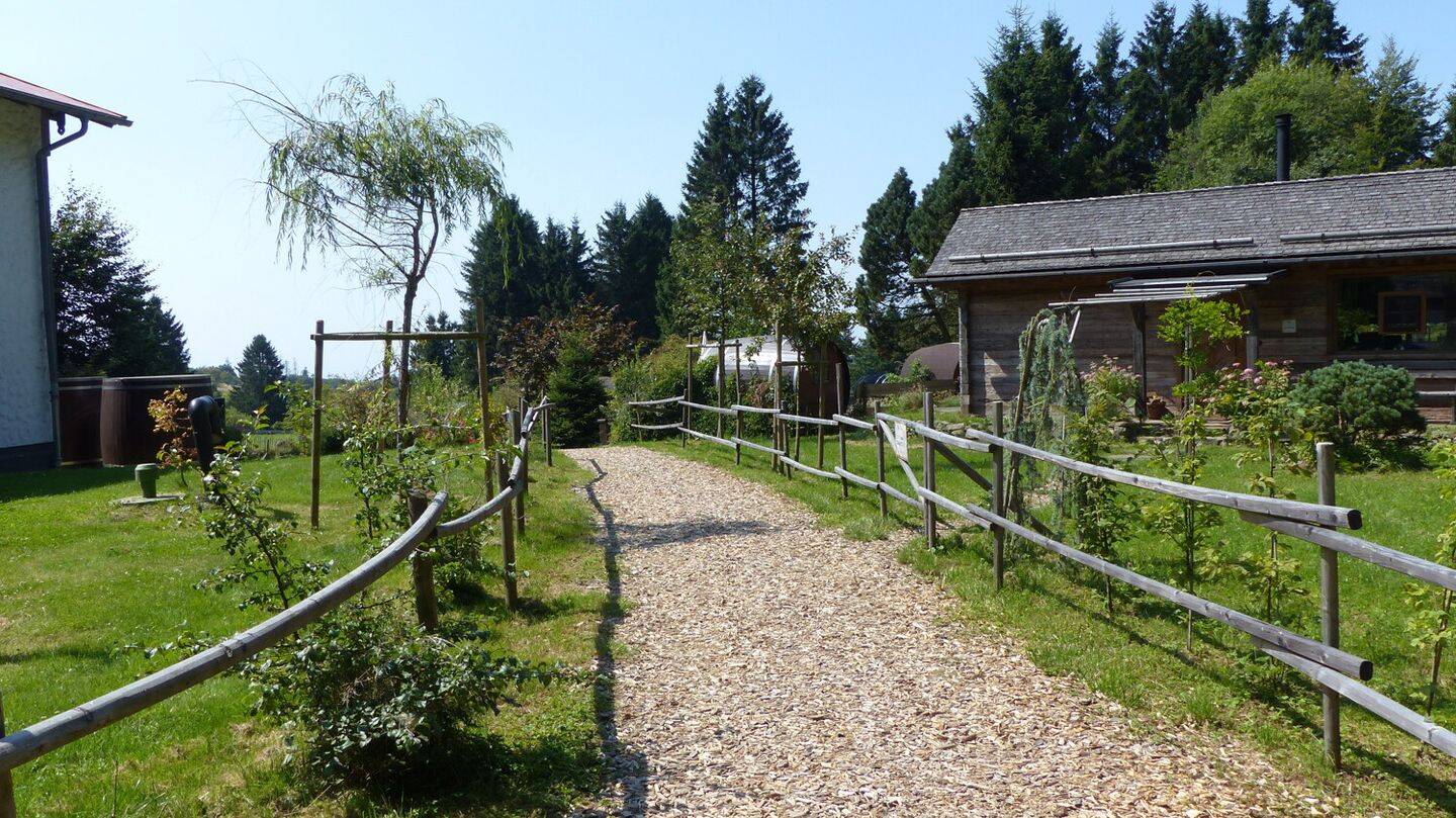 Bild 9