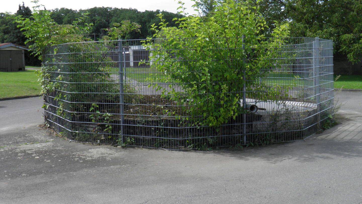 Bild 8
