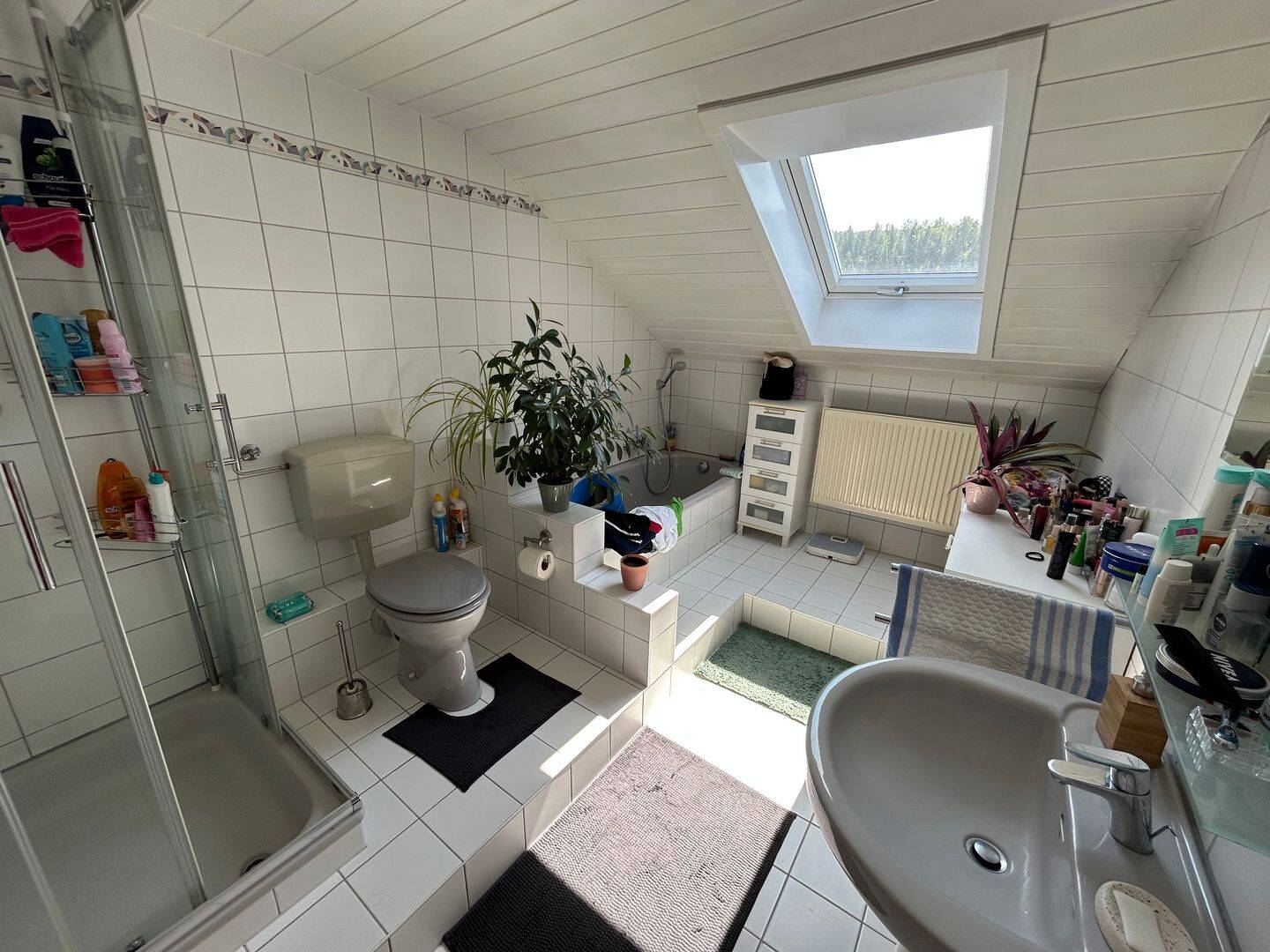 Bild 4
