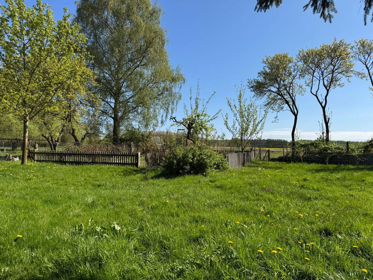 Bild 7