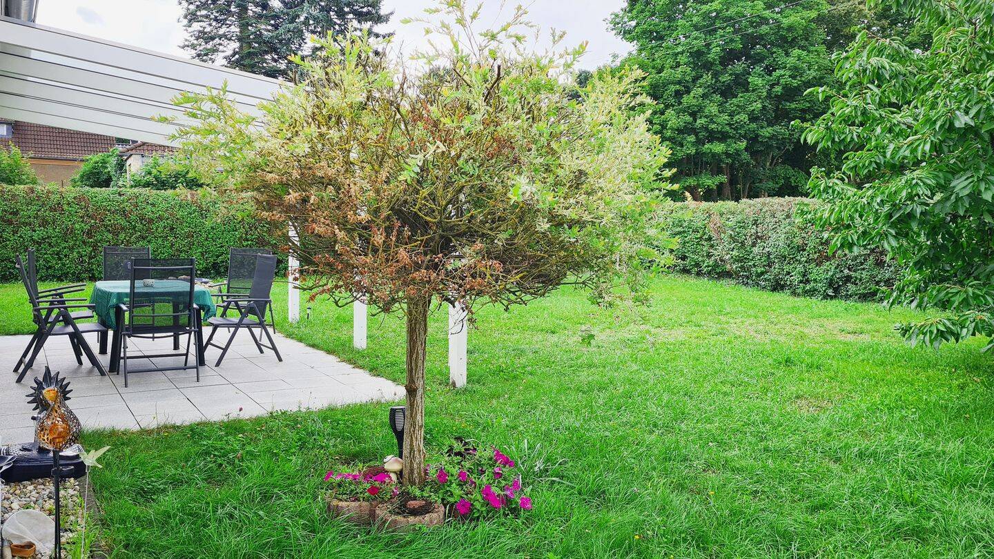 Bild 6