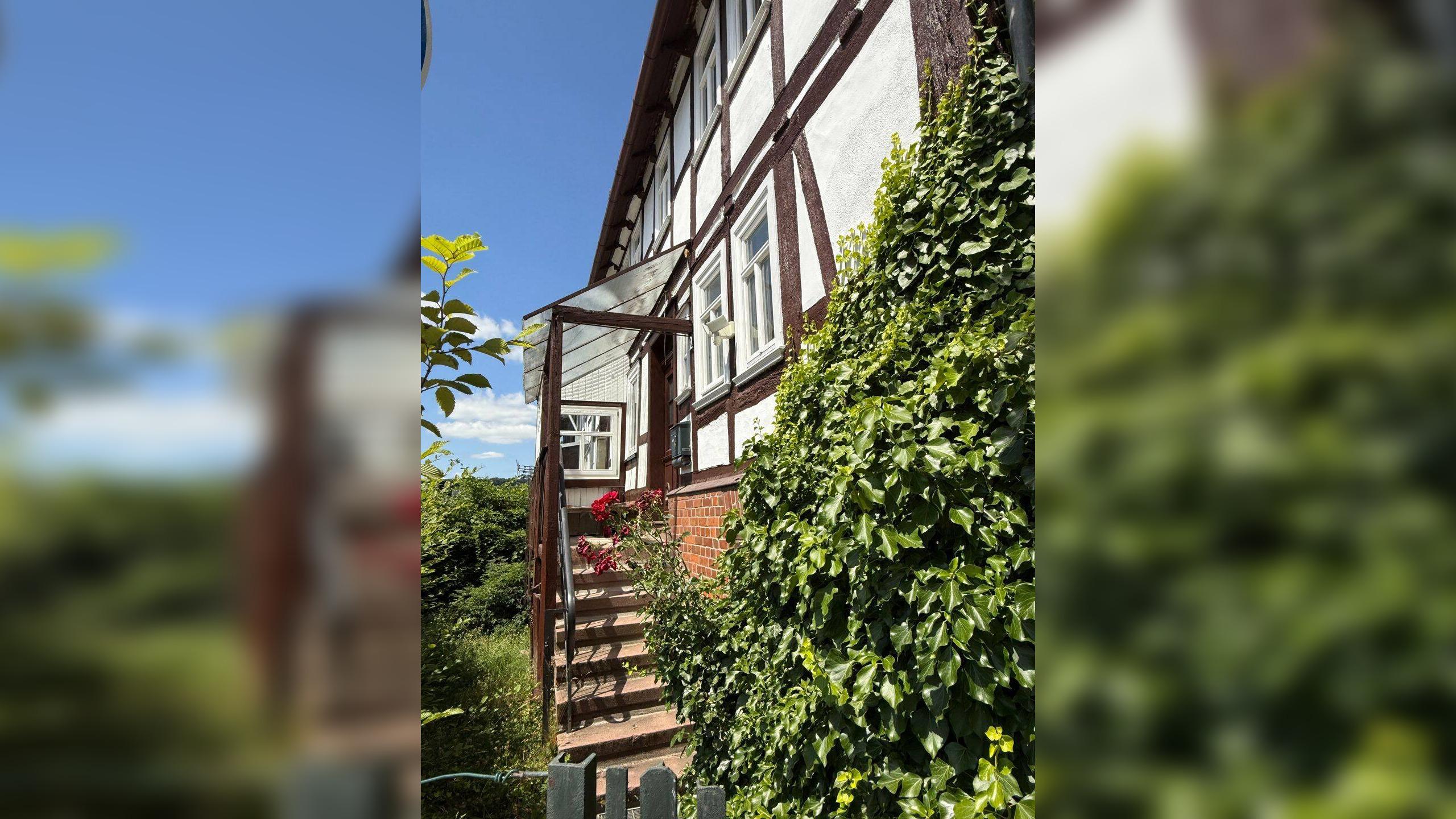 Bild 11