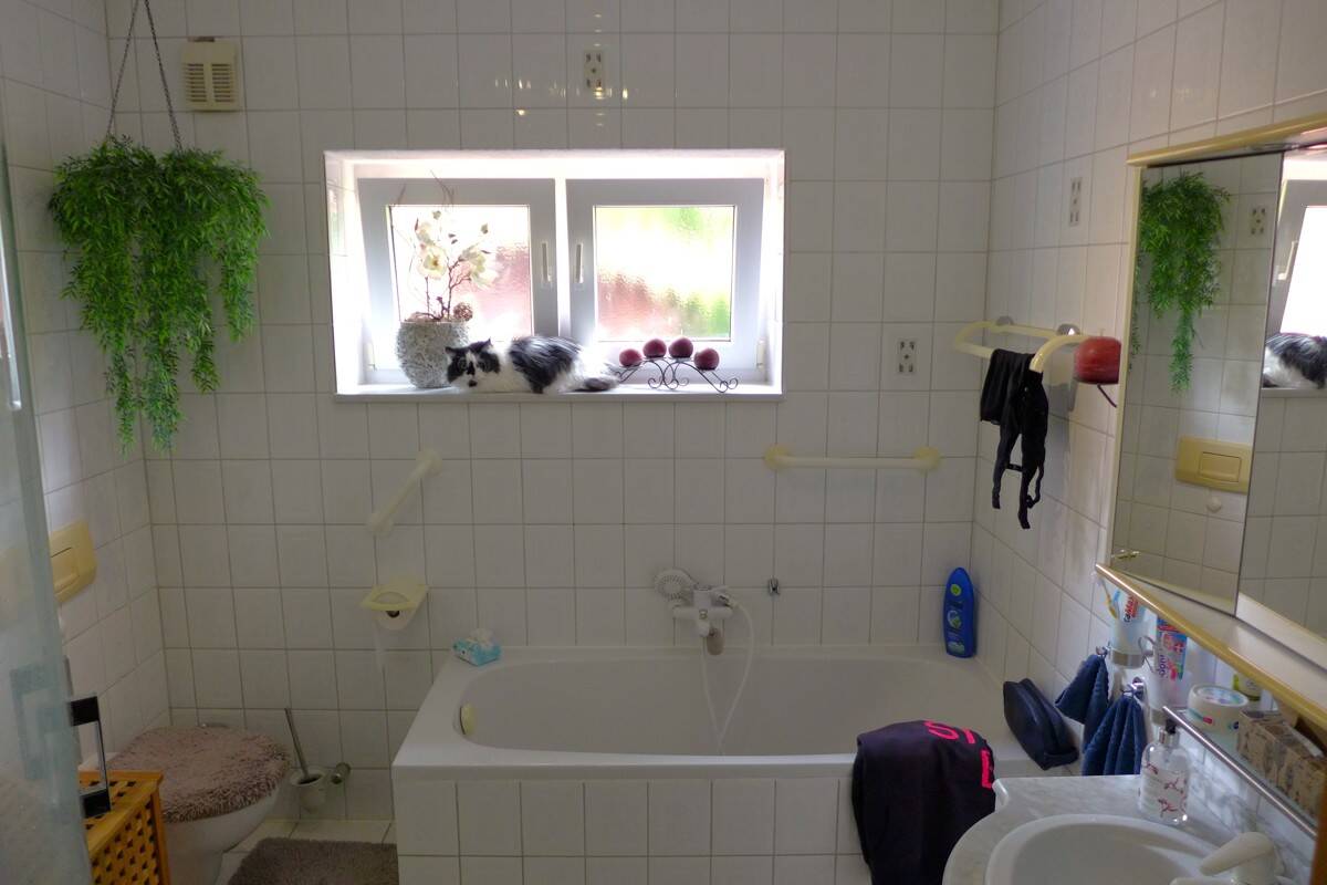 Bild 17