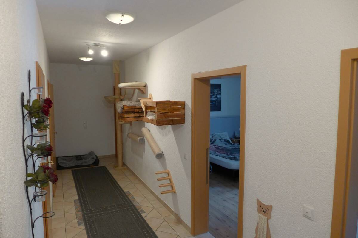 Bild 18