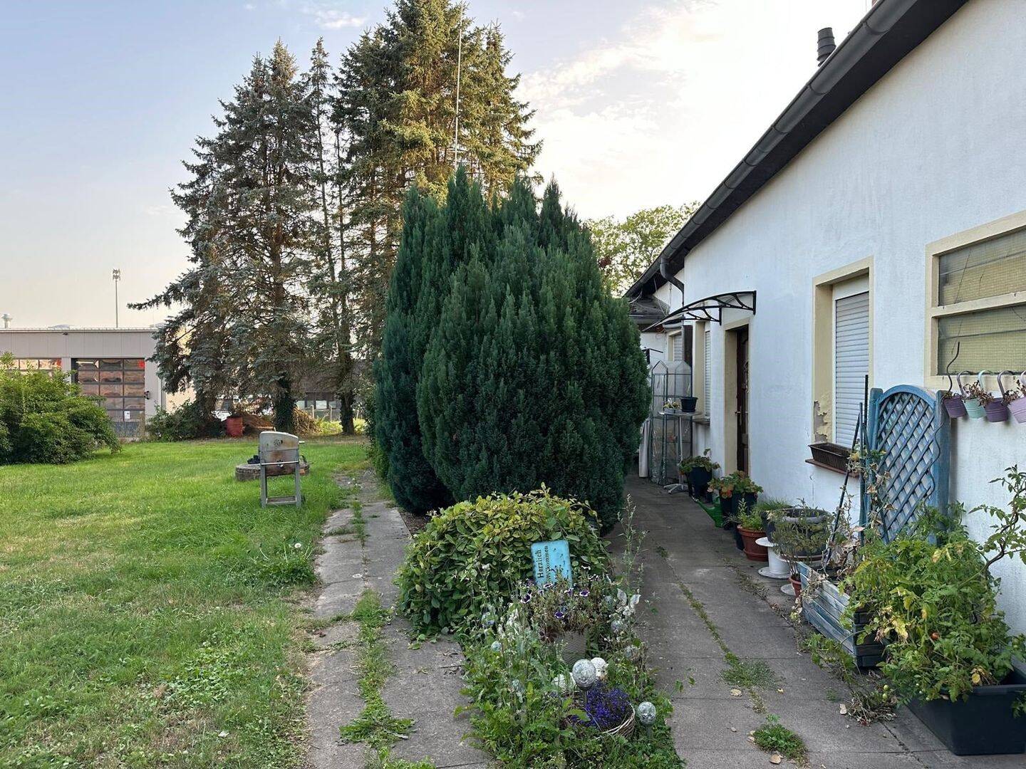 Bild 5