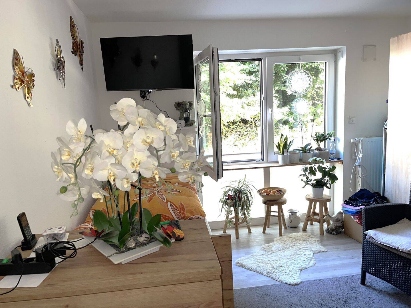 Bild 6