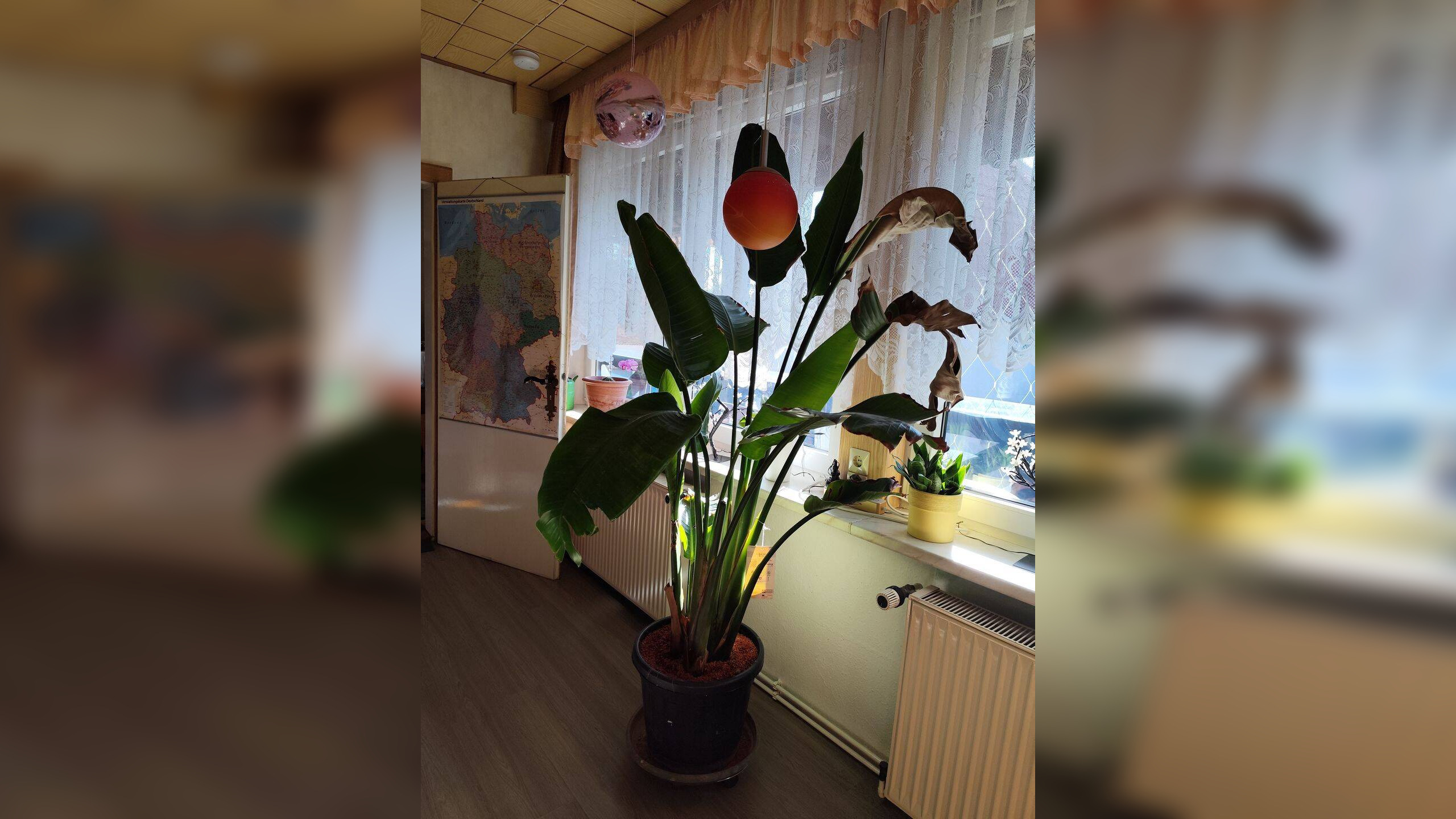 Bild 8