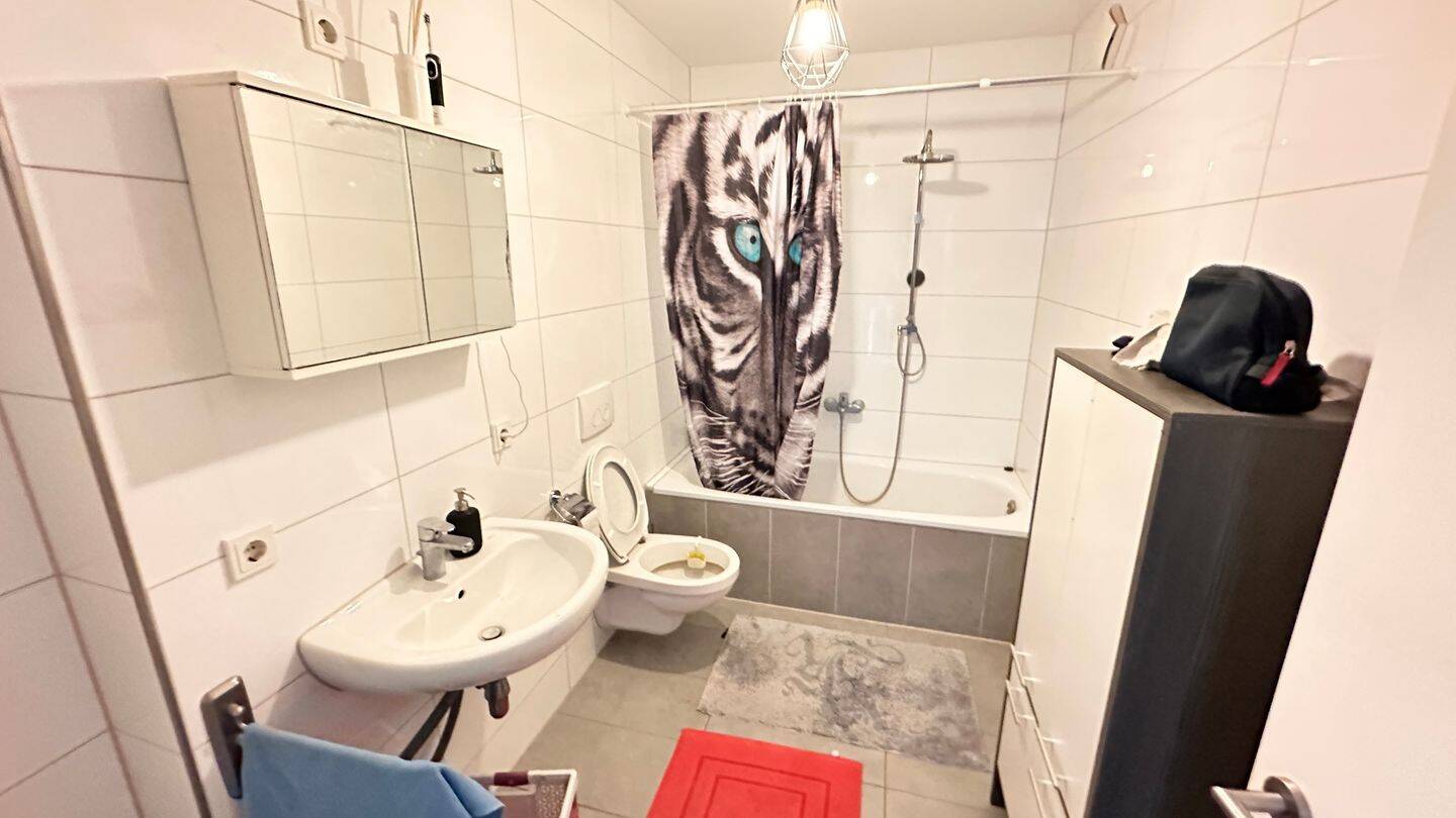 Bild 5