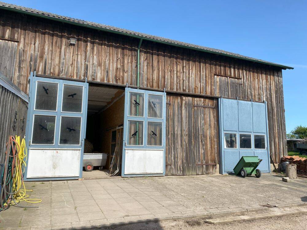 Bild 10