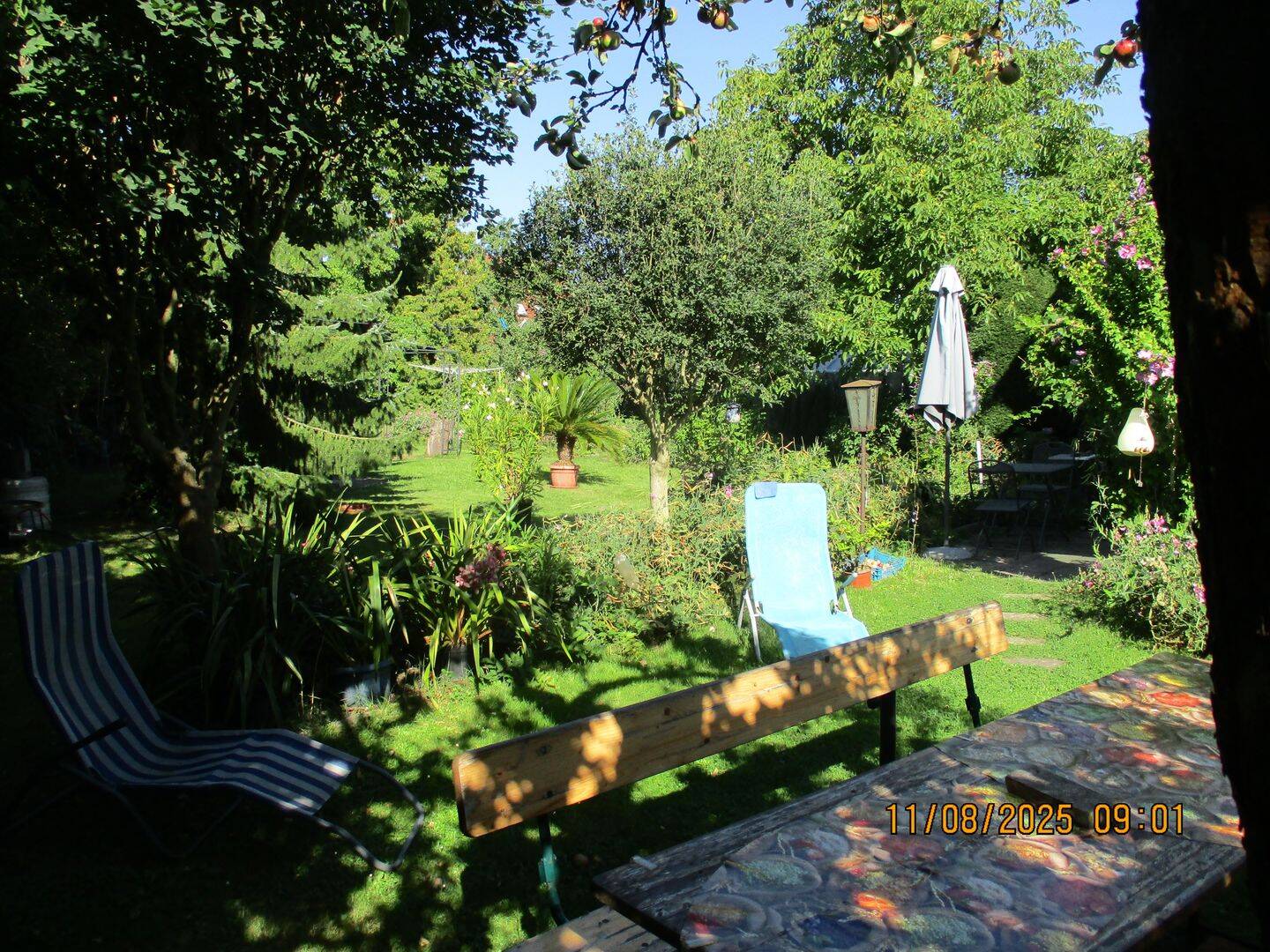 Bild 8