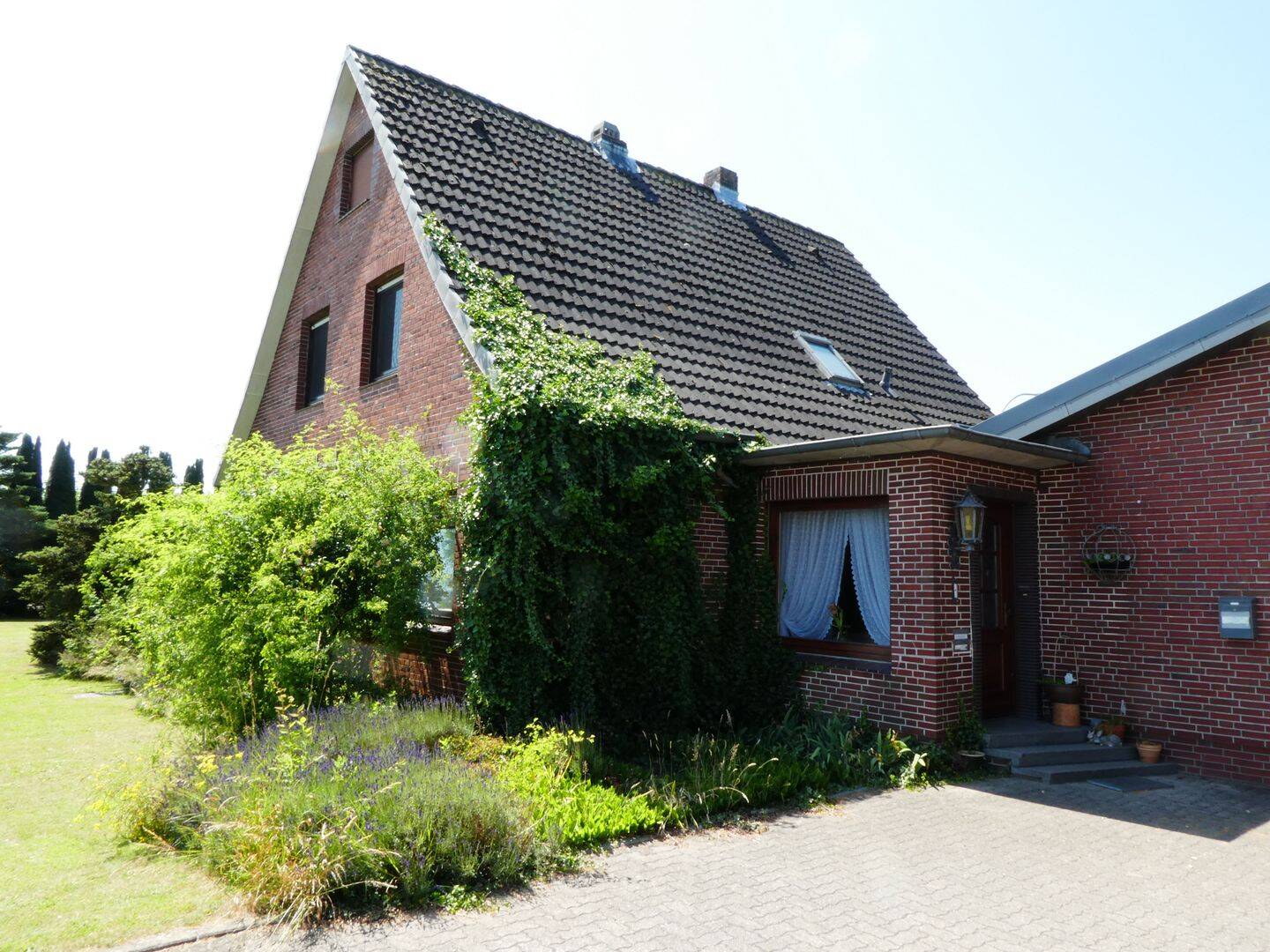 Bild 7