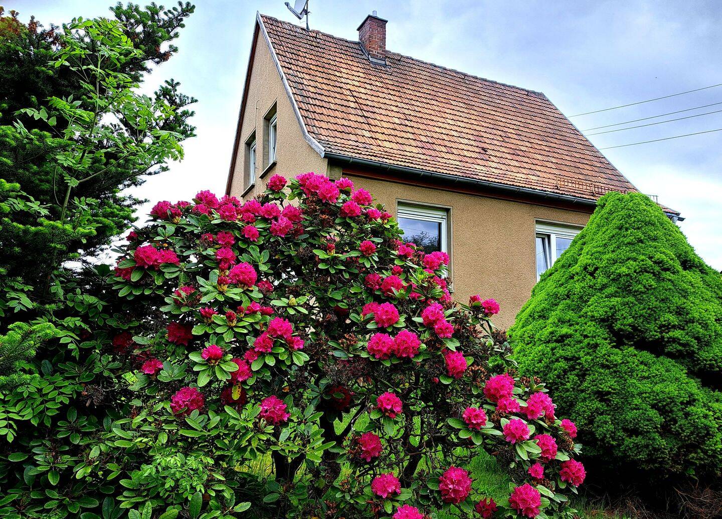 Bild 13