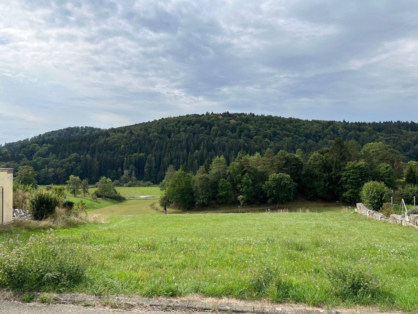 Bild 15